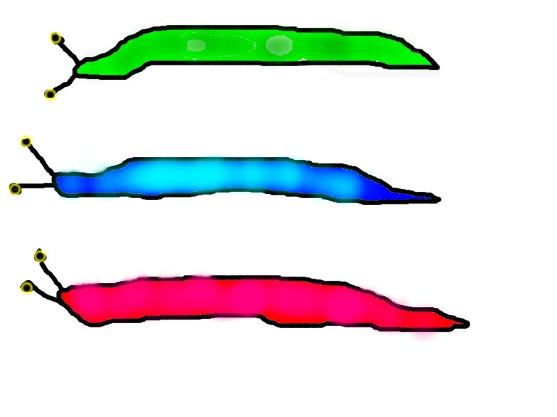 1PDU-ELISAOUSE.jpg
